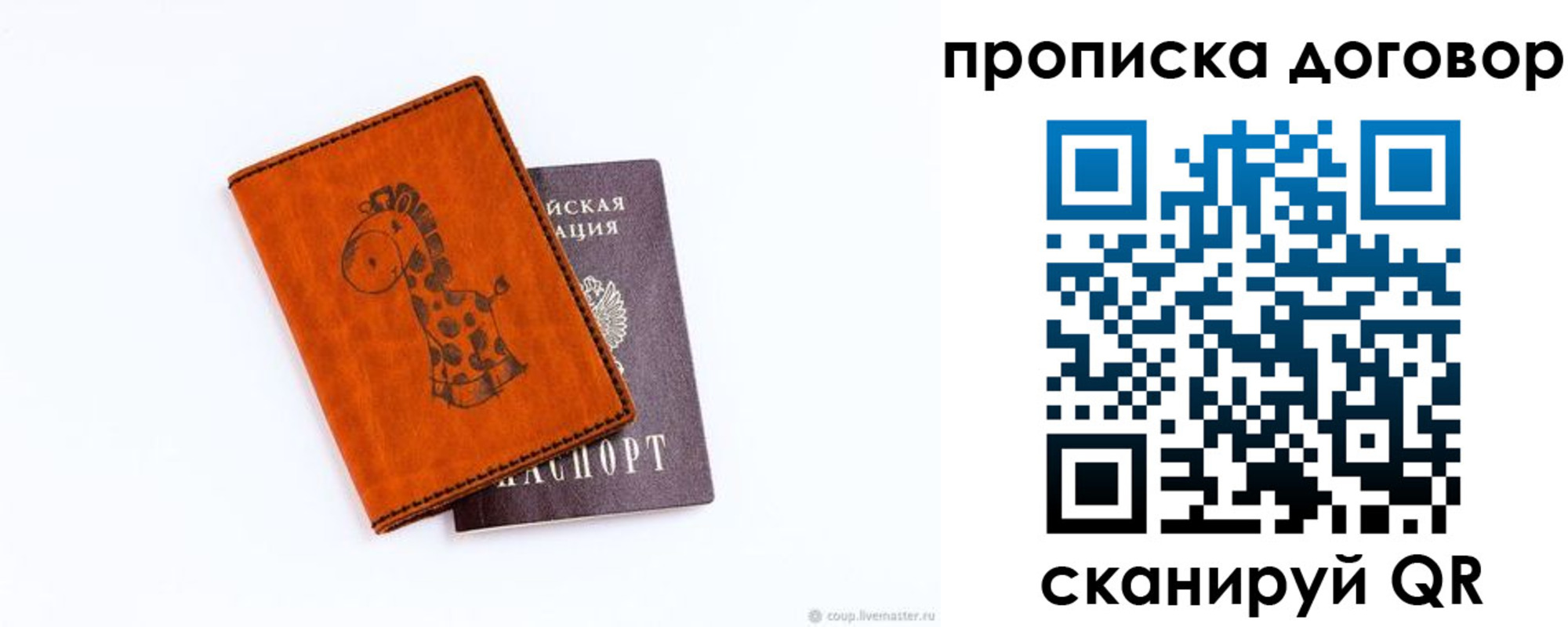прописка паспорт в Александрове